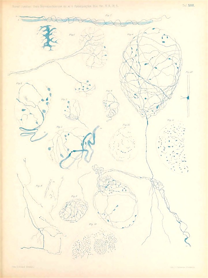 n178_w1150