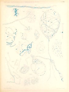 n178_w1150