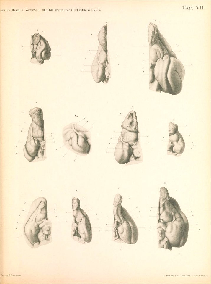 n162_w1150