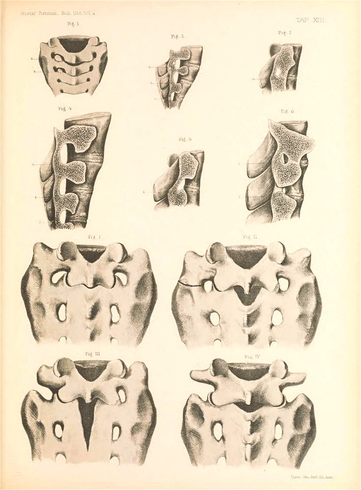 n134_w1150