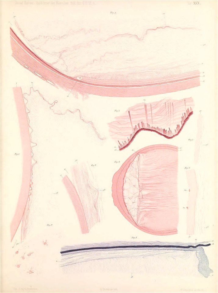 n218_w1150