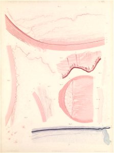 n218_w1150