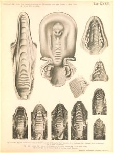 n258_w1150