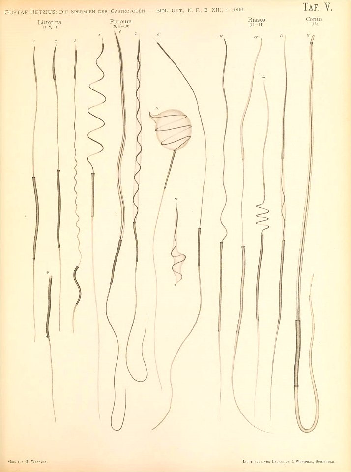n192_w1150