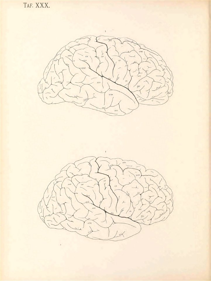 n205_w1150