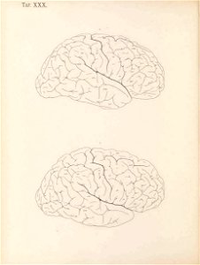 n205_w1150