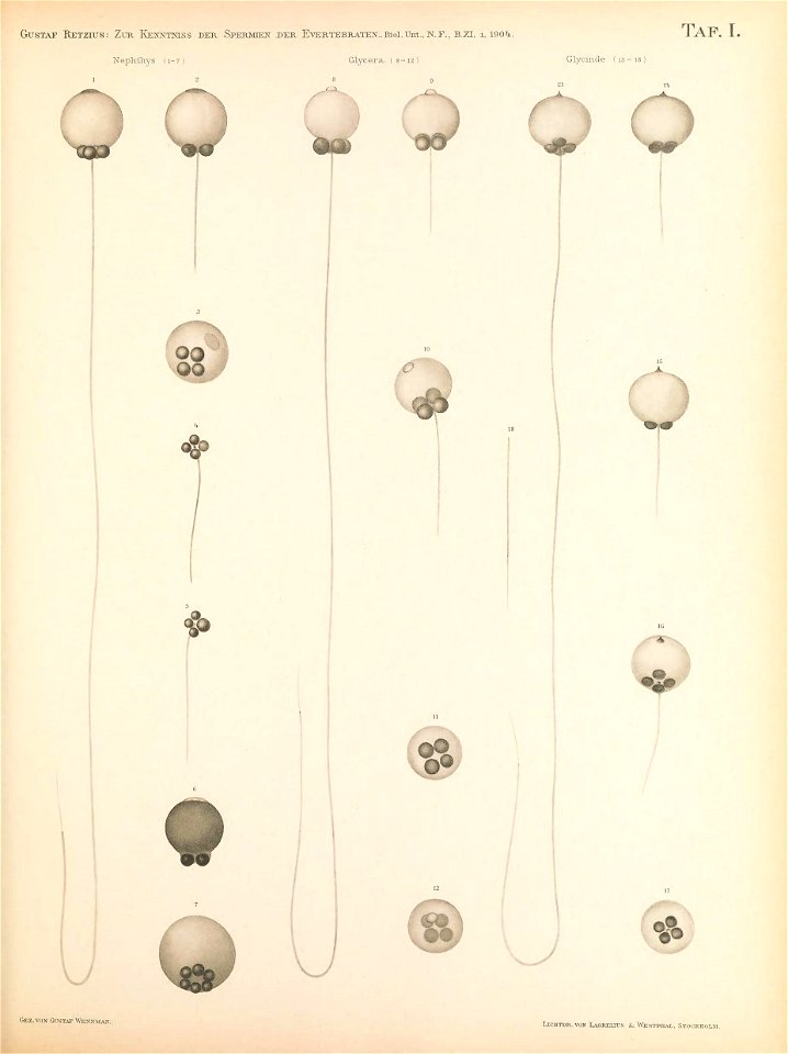 n118_w1150