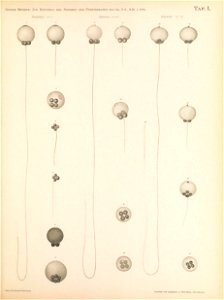 n118_w1150