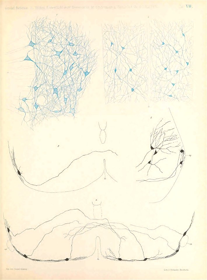 n110_w1150
