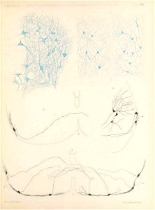 n110_w1150