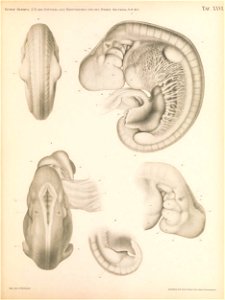 n230_w1150