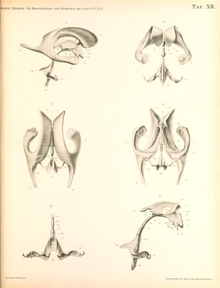 n174_w1150