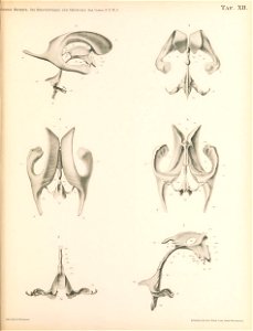 n174_w1150