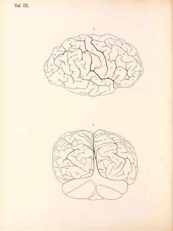 n139_w1150