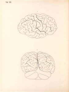n139_w1150