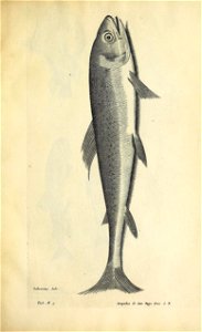 n402_w1150