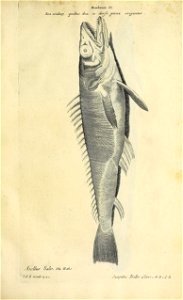 n364_w1150