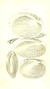n420_w1150
