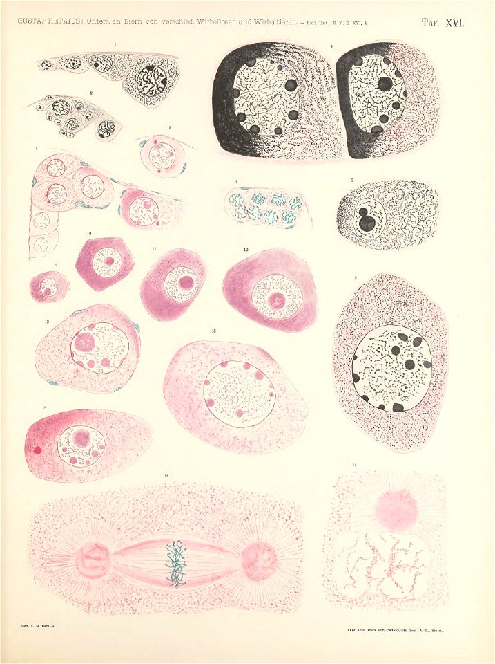 n176_w1150