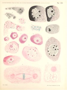 n176_w1150
