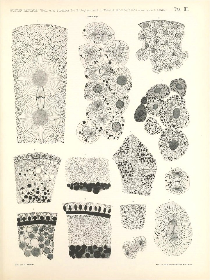 n116_w1150