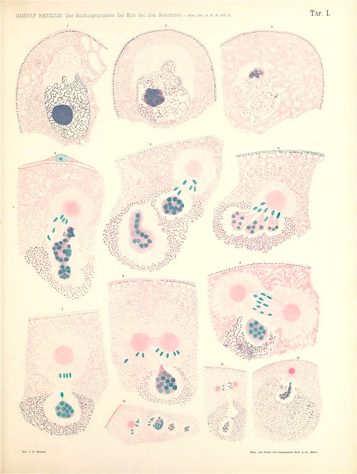 n116_w1150