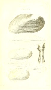 n418_w1150