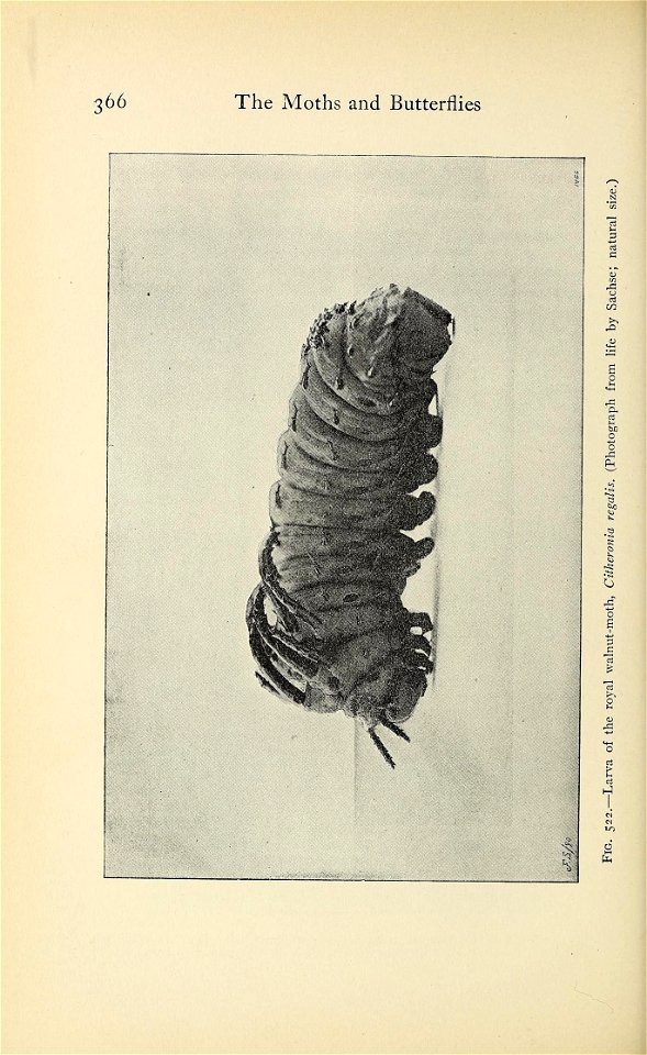 n399_w1150