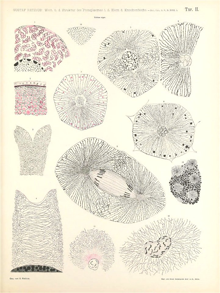 n114_w1150