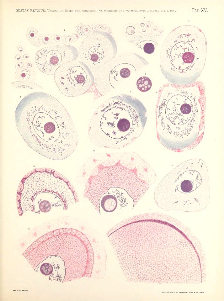 n172_w1150