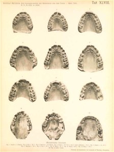 n284_w1150