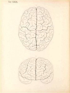n201_w1150
