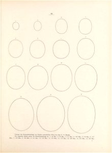 n78_w1150