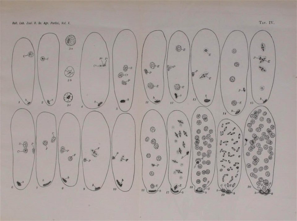 n112_w1150