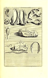 n552_w1150