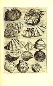 n698_w1150