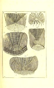 n528_w1150