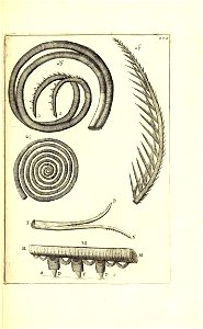 n498_w1150