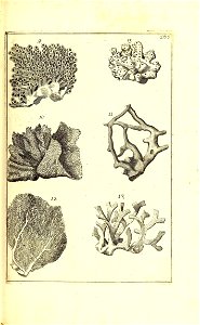 n376_w1150
