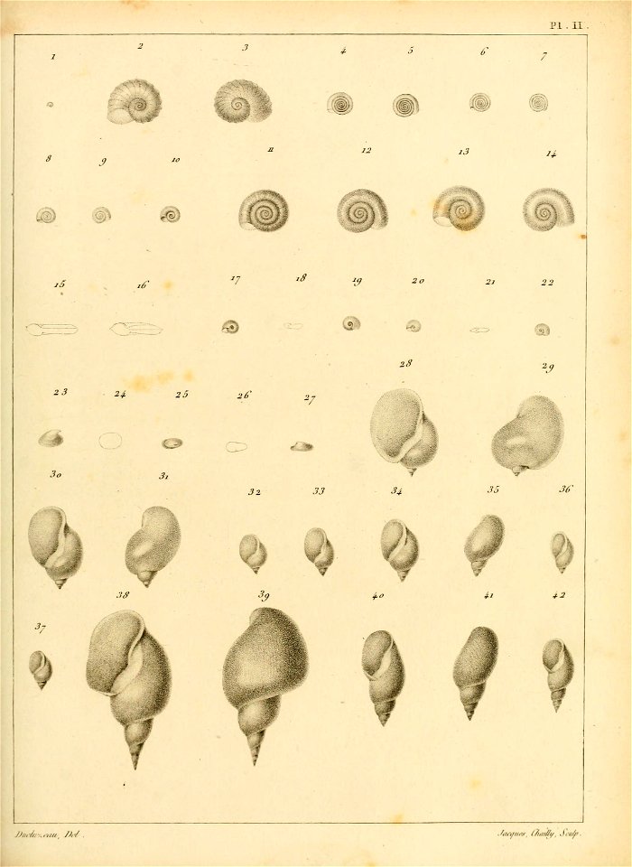 n164_w1150