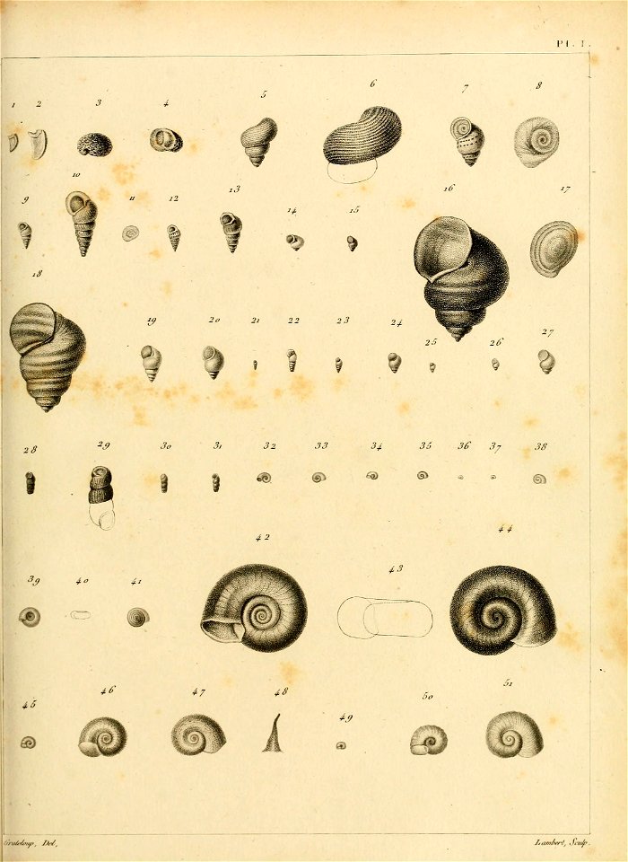 n160_w1150