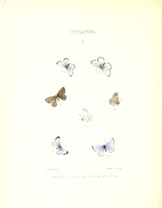 n261_w1150