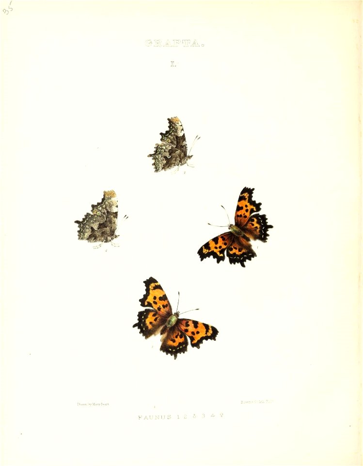 n177_w1150