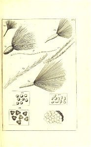 n522_w1150