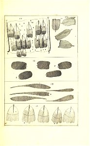 n492_w1150