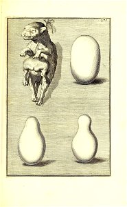 n402_w1150
