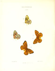 n169_w1150