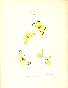 n103_w1150