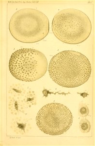 n374_w1150