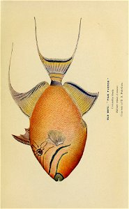 n150_w1150